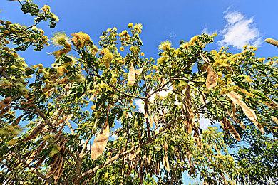 《动物派对》更新开发日志 计划年内发售